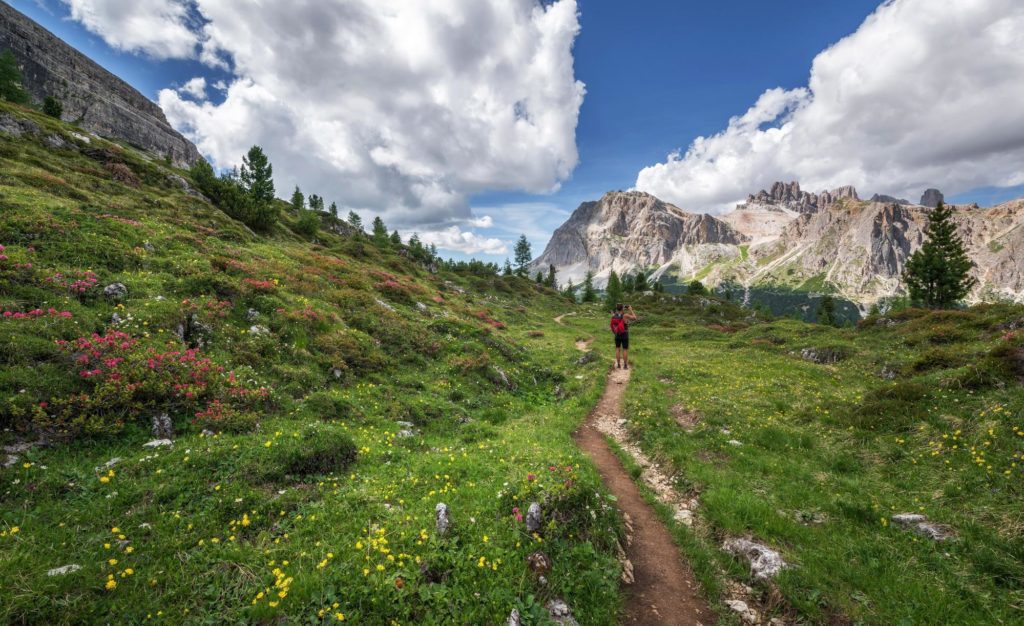 Hiker on the trail