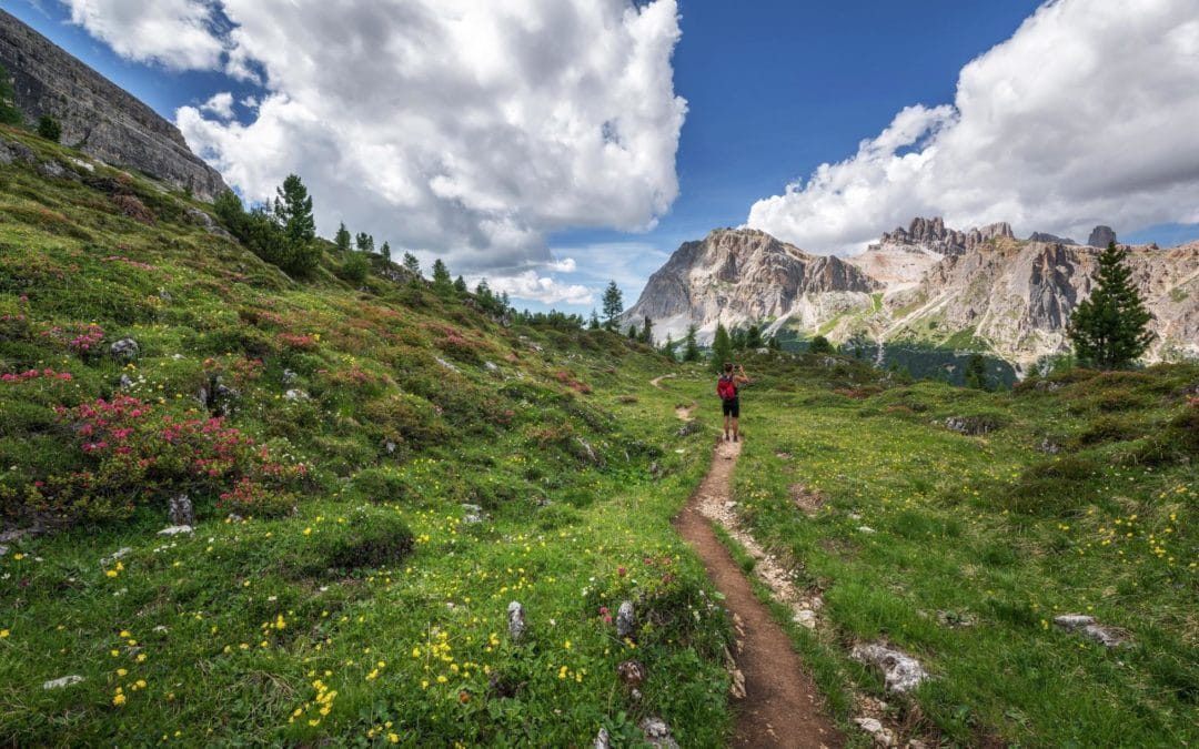 Summer time, here we come!